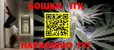 индика Тула