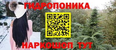 индика Тула