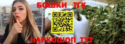 индика Тула