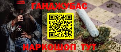 индика Тула