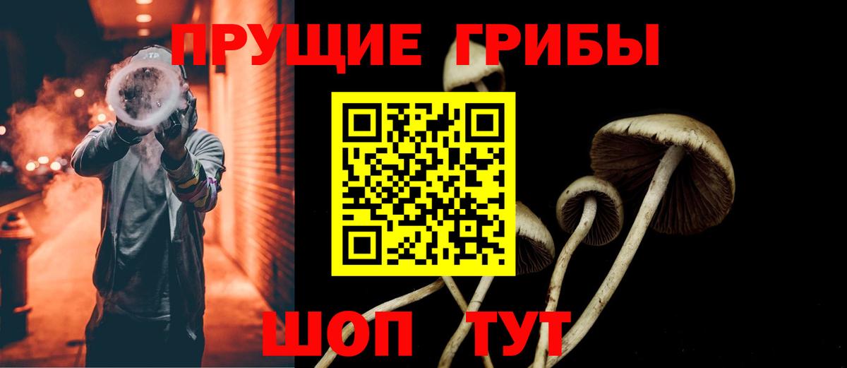 Псилоцибиновые грибы ЛСД  Вход с VPN  Галлюциногенные грибы GOLDEN TEACHER  Тамбов 